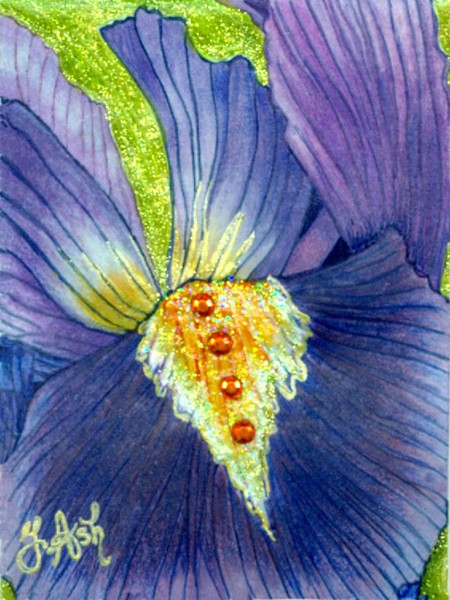 Iris bleu violet